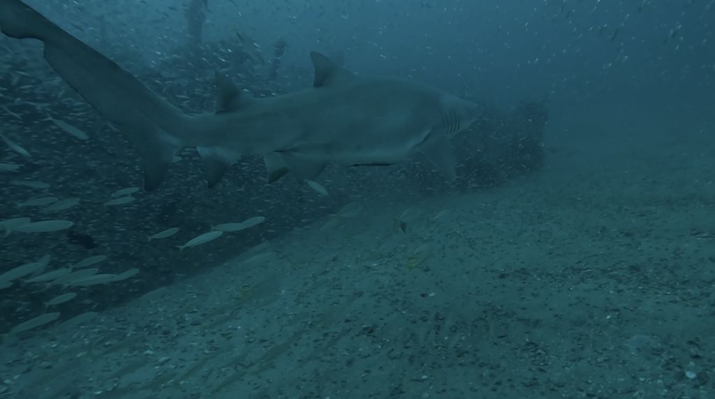 ba3dca2d-7ef7-4039-92d0-866f2c6265c7