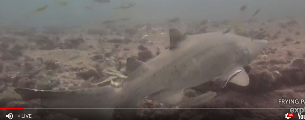 d620f4bb-0d3d-4b03-8d01-272ac5fc5e5a