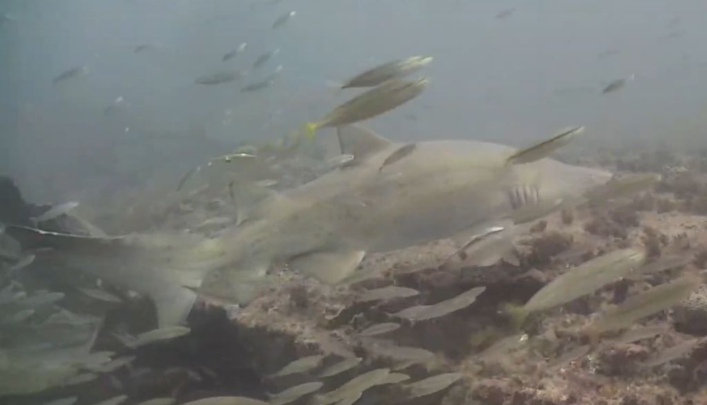 d620f4bb-0d3d-4b03-8d01-272ac5fc5e5a