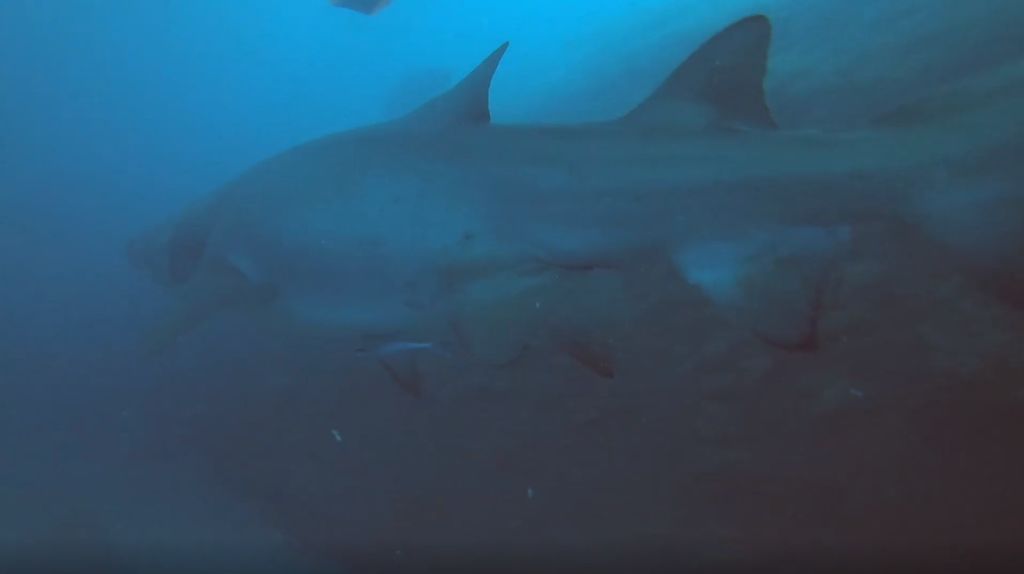 744b45b8-f942-46b4-b629-c5676c223d74