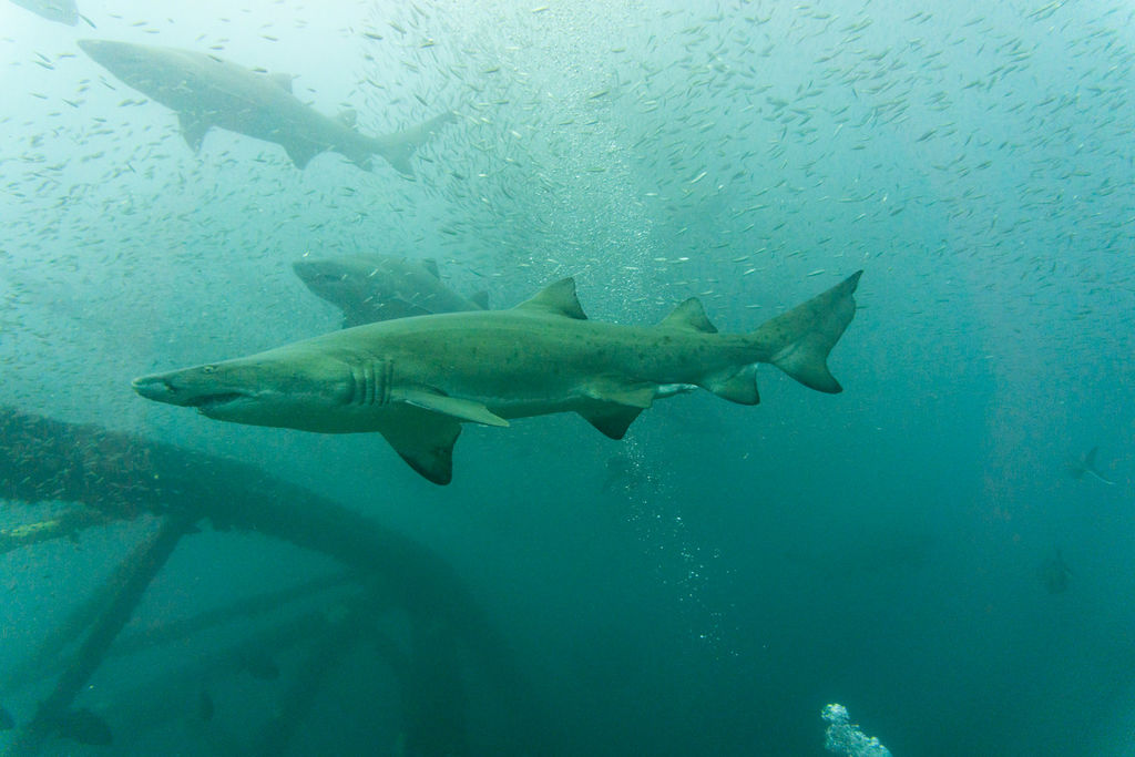 86473712-21c9-47e1-a23c-d9ff92f4f70c