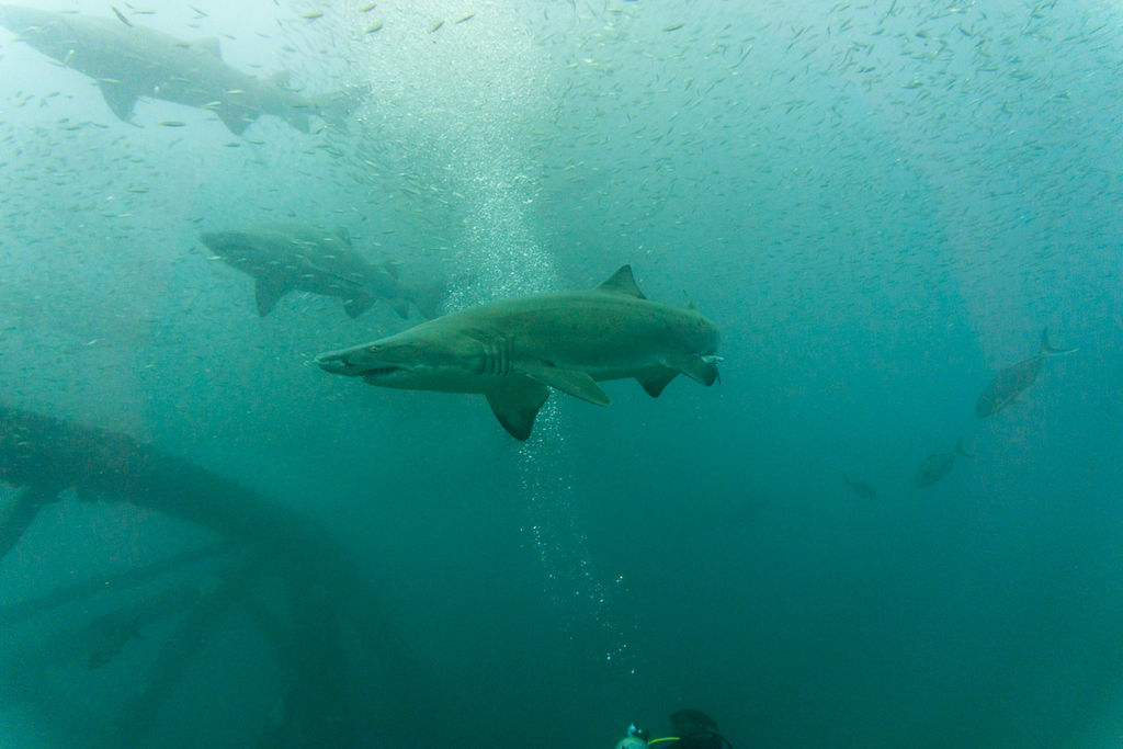 86473712-21c9-47e1-a23c-d9ff92f4f70c