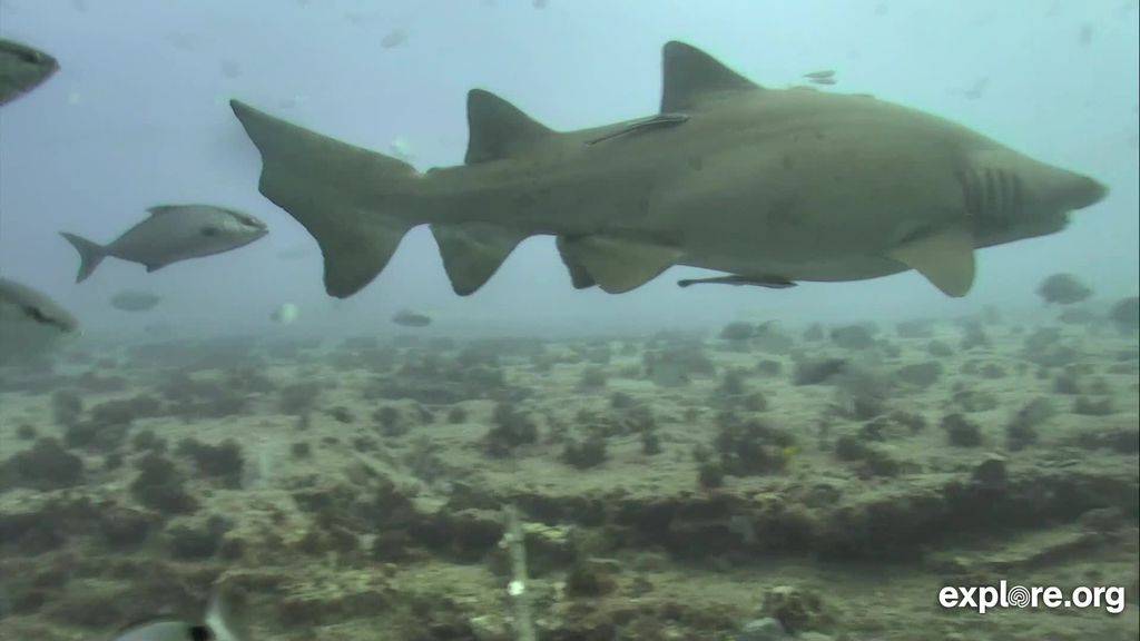 b7c4b156-56f5-49d4-9692-4237985f4750