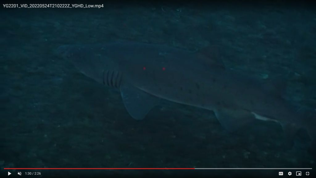 72341bfe-9b9d-469b-aeb8-4e6c9c263cca