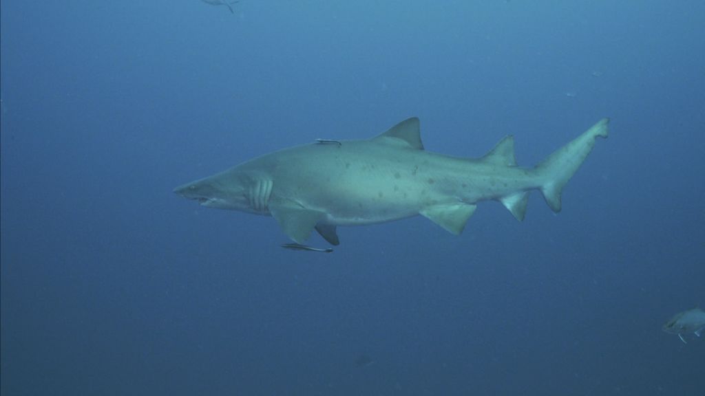 b147e80f-555a-48c0-a9d0-6ab2325fe0f8