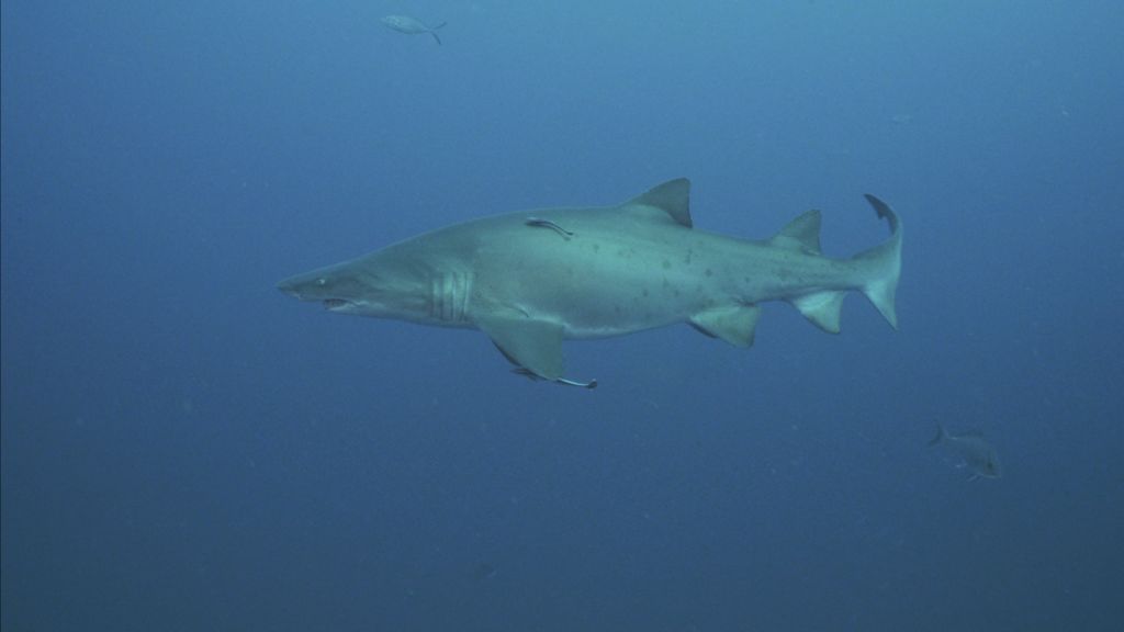 b147e80f-555a-48c0-a9d0-6ab2325fe0f8