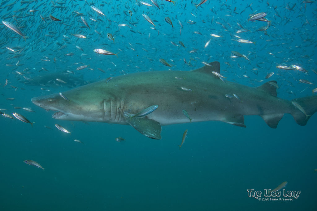 da608d30-85c6-45e4-aae0-a9a4dffbe5bd