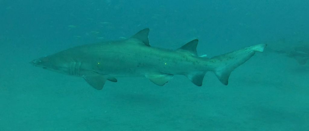 62992729-5c9f-4678-9947-eb2c35d34cc5