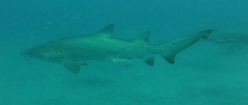 62992729-5c9f-4678-9947-eb2c35d34cc5