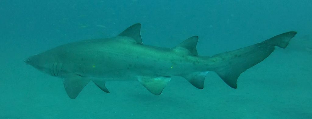 62992729-5c9f-4678-9947-eb2c35d34cc5