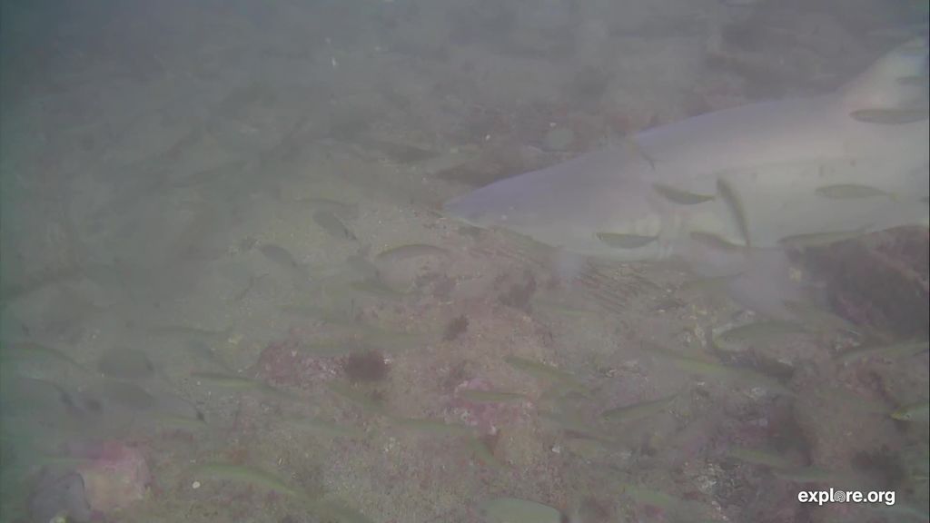 7b834c89-a05c-47f0-adad-598a2a809086