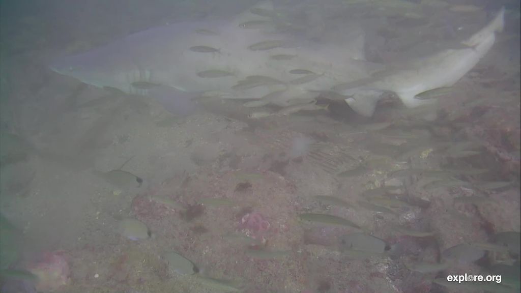 7b834c89-a05c-47f0-adad-598a2a809086