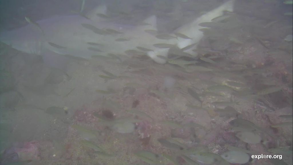 7b834c89-a05c-47f0-adad-598a2a809086