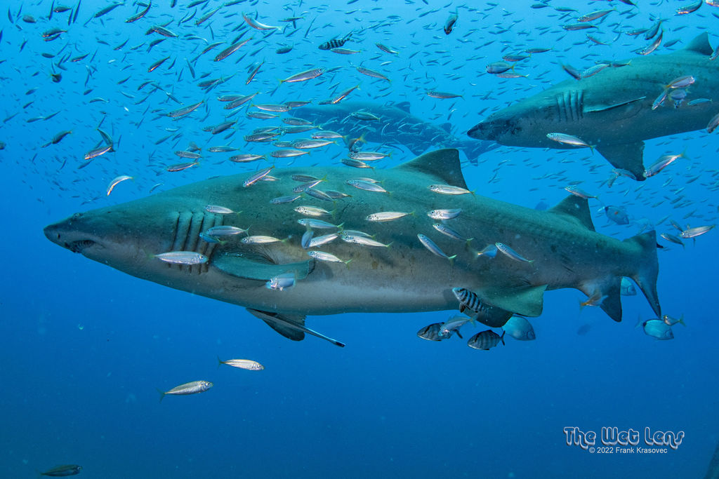 f41edeb4-cb49-4bfe-a8ff-3bf9e19bcc35