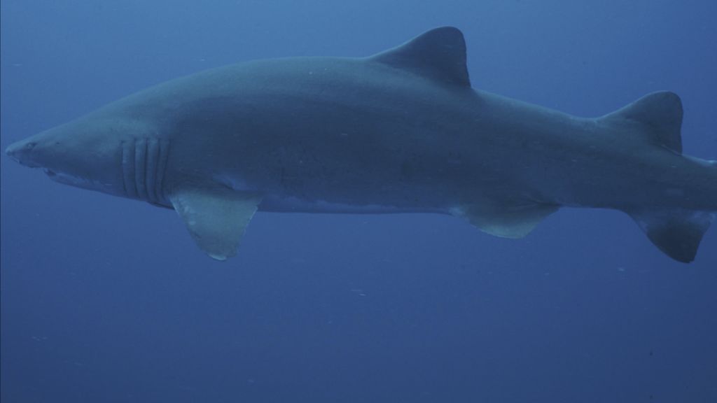 9550c94a-998e-46e2-990c-3d1e62f88c40