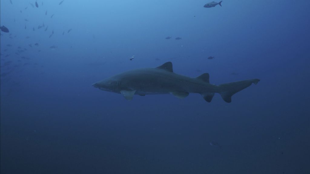 9550c94a-998e-46e2-990c-3d1e62f88c40