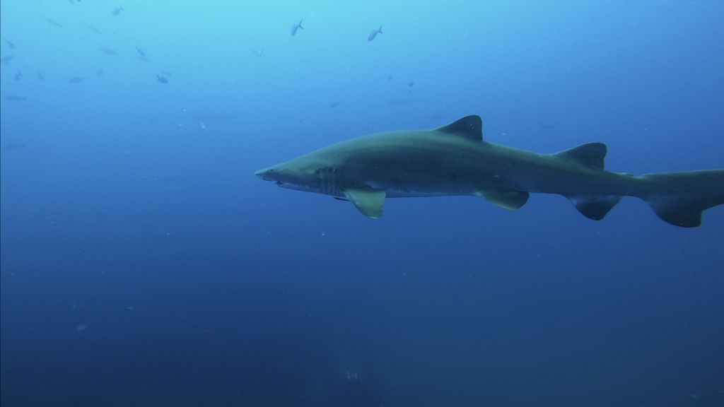 9550c94a-998e-46e2-990c-3d1e62f88c40