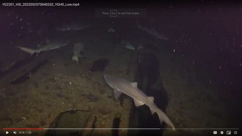 a7623a81-7346-4b62-8a34-555946cf0f7b