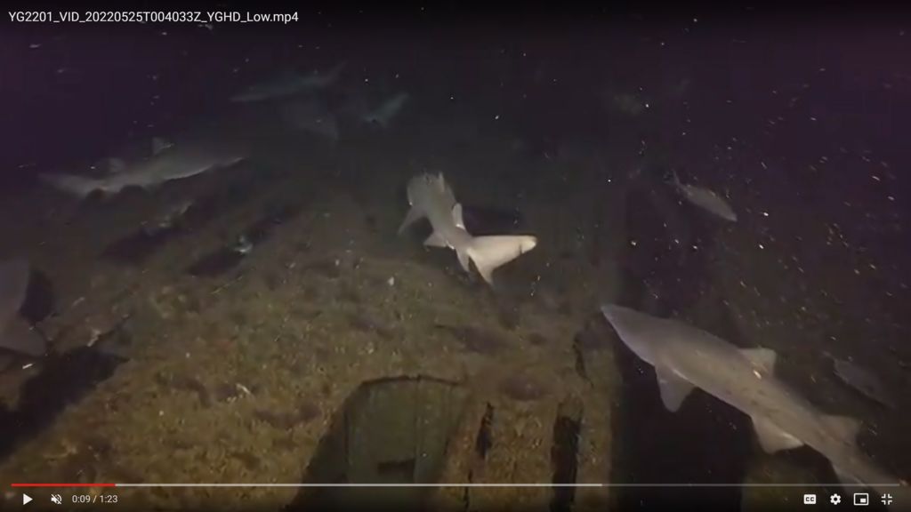 a7623a81-7346-4b62-8a34-555946cf0f7b