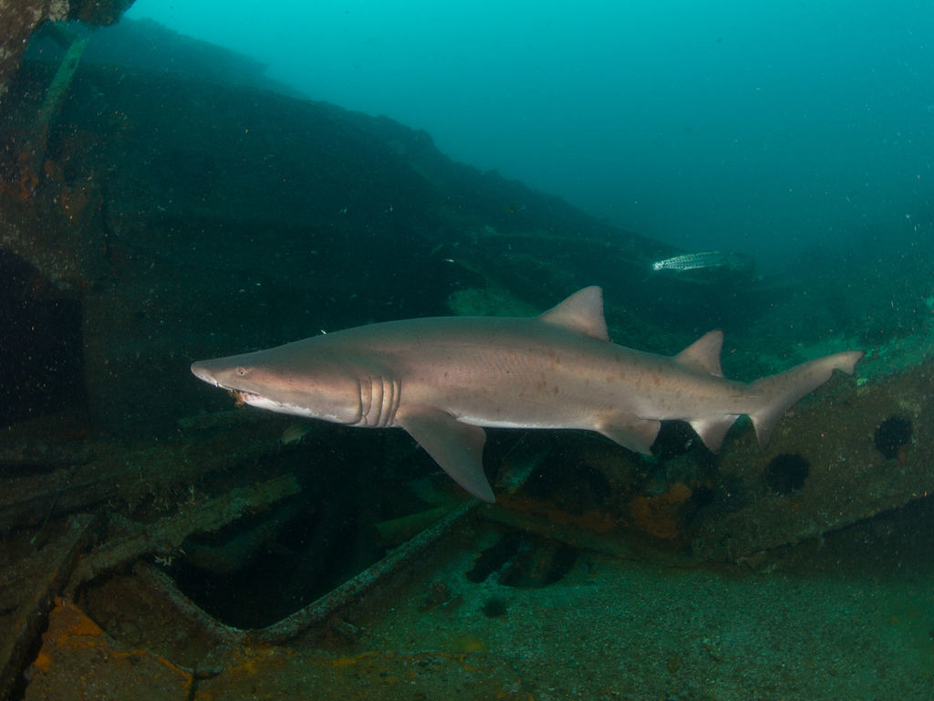 f9c53588-b613-4286-9a23-1c296c99c05b