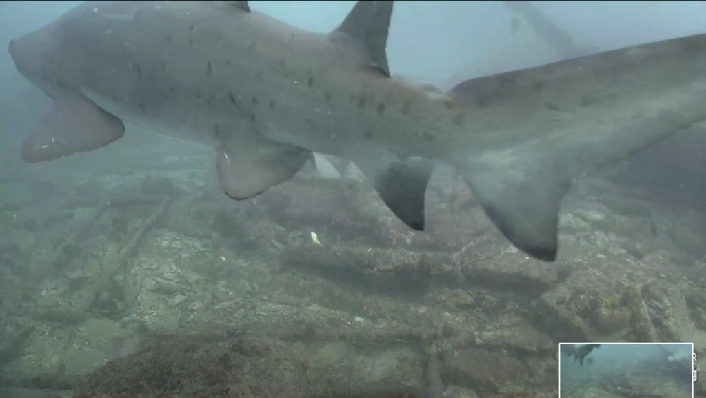 c3351d36-8037-461c-bb45-cb58840f527e