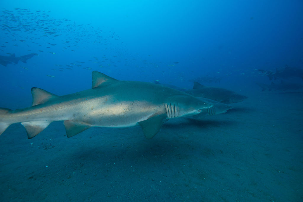 2311ce65-b863-427f-a317-f83bb0ac2964