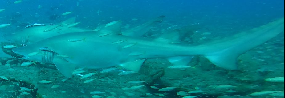 bb86cdb1-1222-402d-b6e8-b5ee4eed2d0d