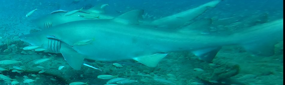 bb86cdb1-1222-402d-b6e8-b5ee4eed2d0d