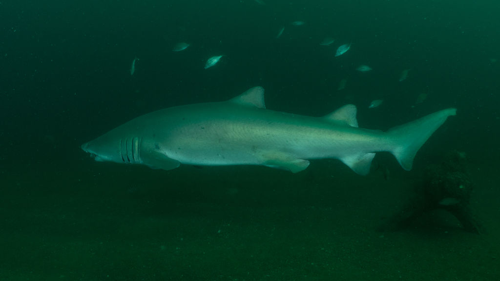 5e5d5a32-7a30-4f32-a11b-b7356042b13a