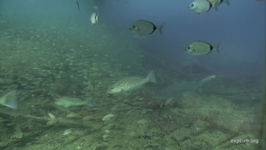 0bf2c813-a899-49c6-b065-4c14a2fcfe32