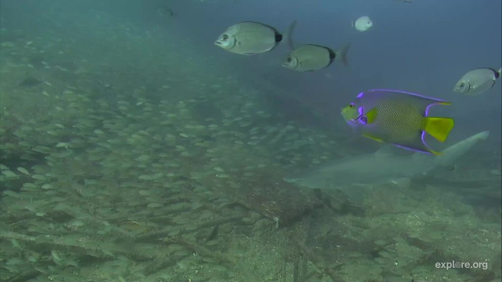 0bf2c813-a899-49c6-b065-4c14a2fcfe32