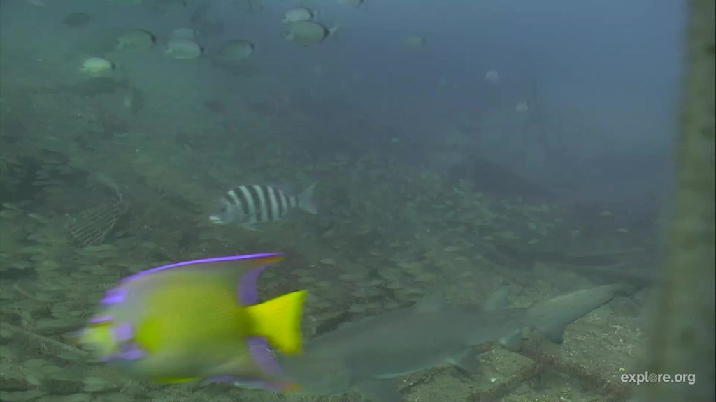 0bf2c813-a899-49c6-b065-4c14a2fcfe32