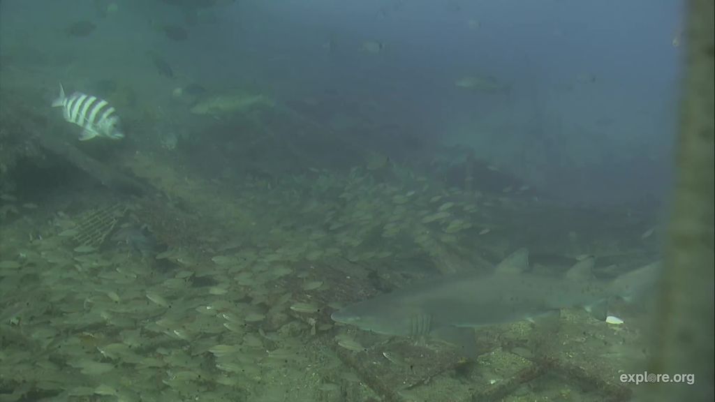 0bf2c813-a899-49c6-b065-4c14a2fcfe32