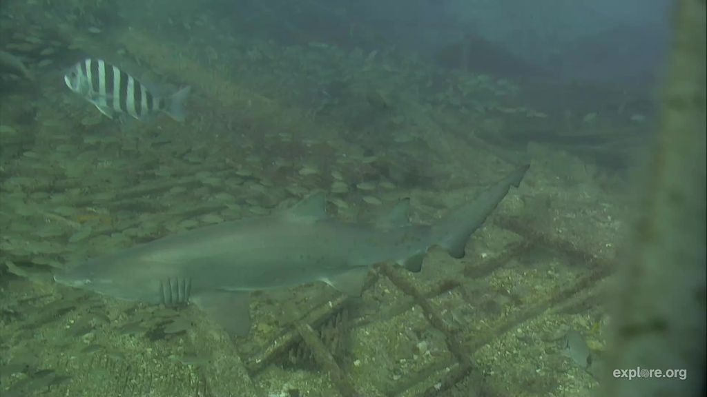 0bf2c813-a899-49c6-b065-4c14a2fcfe32