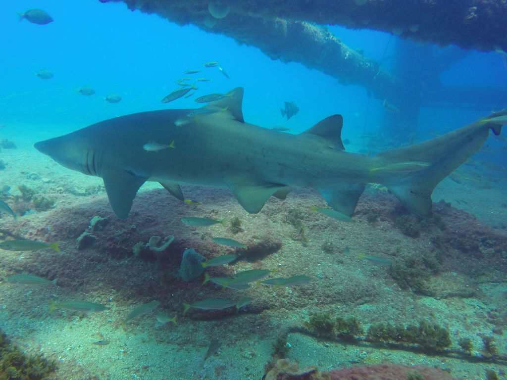 19c35f71-9b07-4d88-b063-aa09d11a6f7e