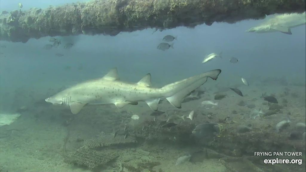 fece9838-ce4d-410c-97e6-b6f8e4af9de0