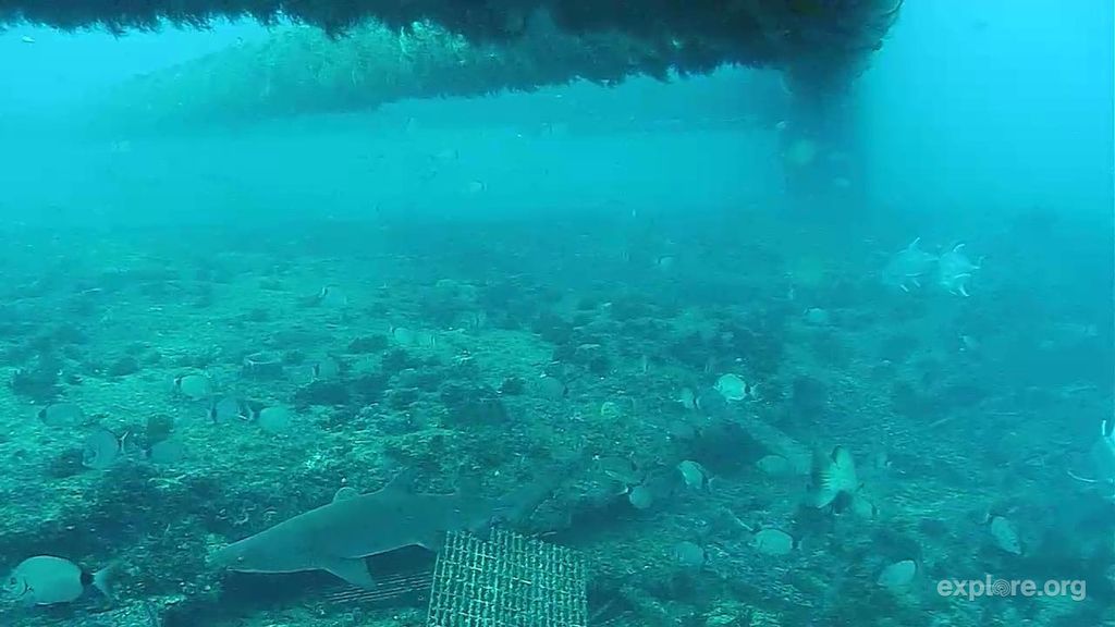 fe06358e-9394-4390-b3f0-072bdfca8ef5