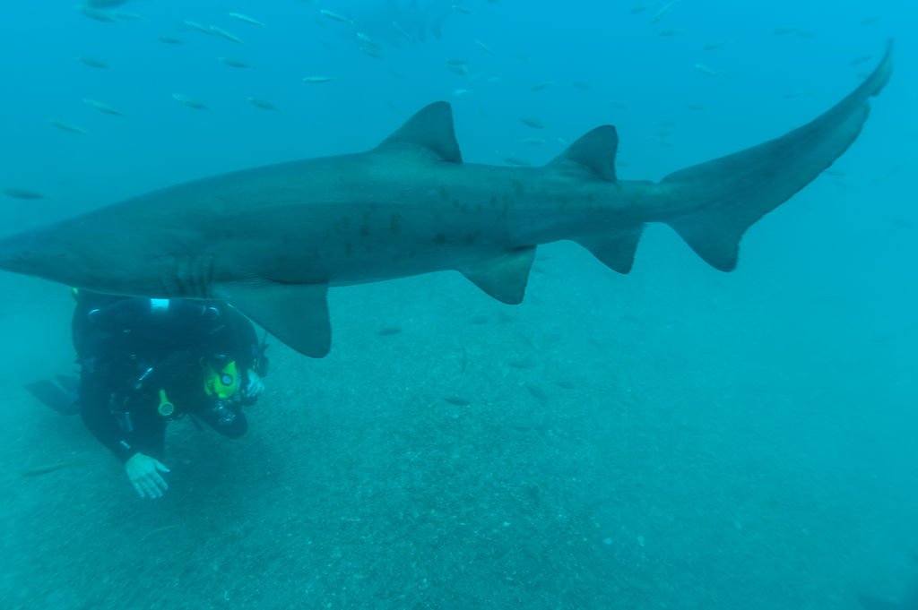 fa924399-147d-425e-af66-6dd5d0466215