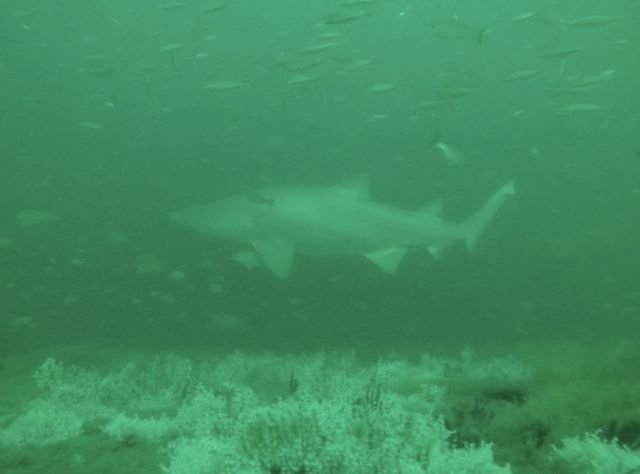 a46bf00f-82fb-48ce-8d14-ae169f0d4b76