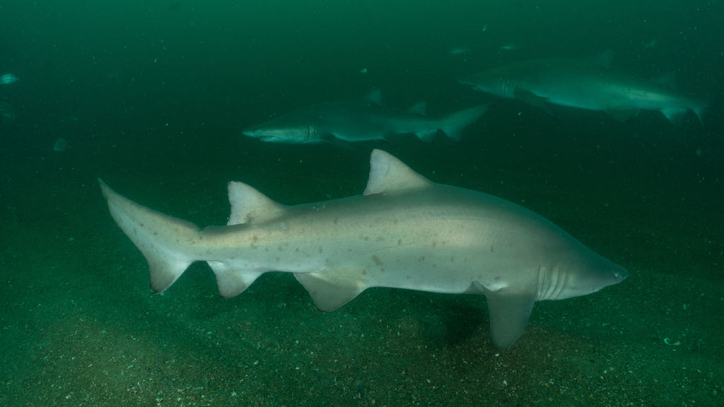 0b49e46c-3f1e-4472-91ae-80213214d8c8