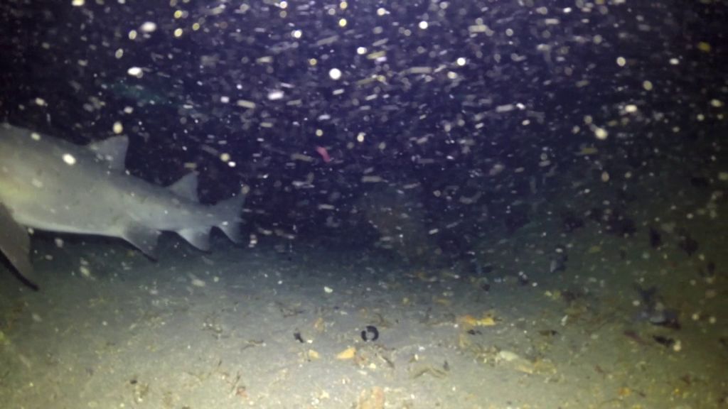 0d260e34-9ce3-4c93-bf13-bd6ac3d0ecfb