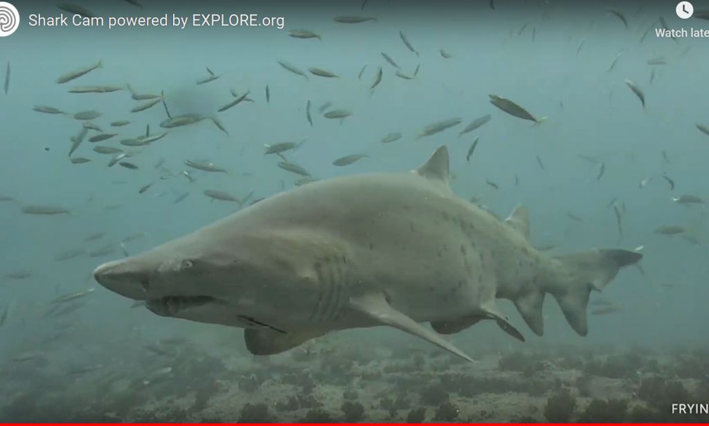 2e697f34-a214-40f2-8c39-d52fbf5d8c54