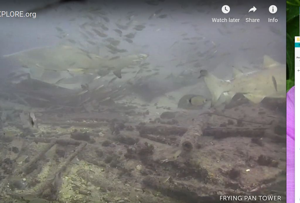 2e697f34-a214-40f2-8c39-d52fbf5d8c54