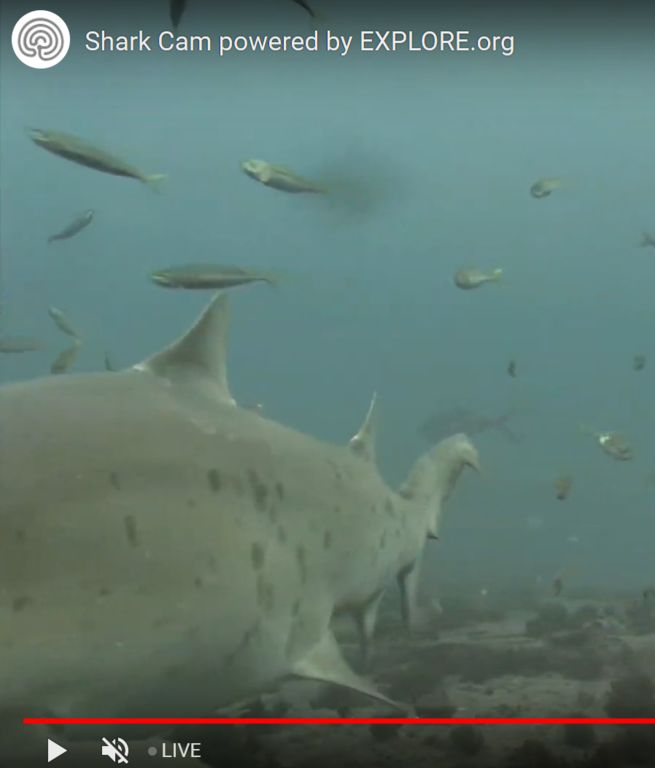 2e697f34-a214-40f2-8c39-d52fbf5d8c54