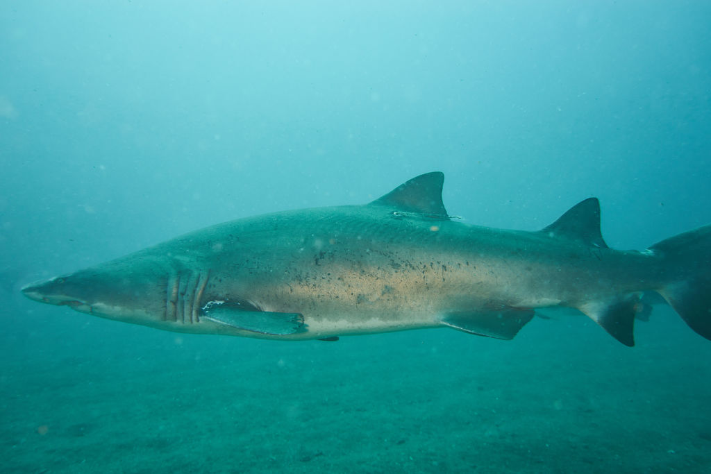 0d7680af-6122-4f2b-b353-ab7a5ce1c7ee