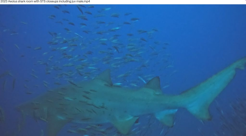 74d53ed4-b400-4a61-9d0a-85c796063cd3