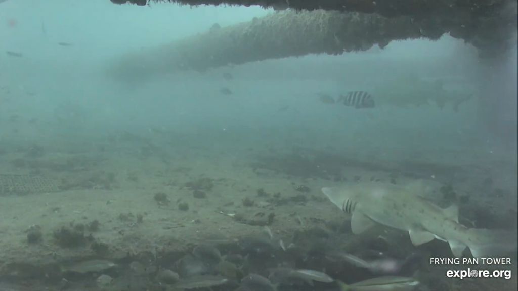 f5425d8a-e987-415f-8d5c-d4fa777746f2