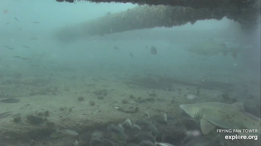 f5425d8a-e987-415f-8d5c-d4fa777746f2