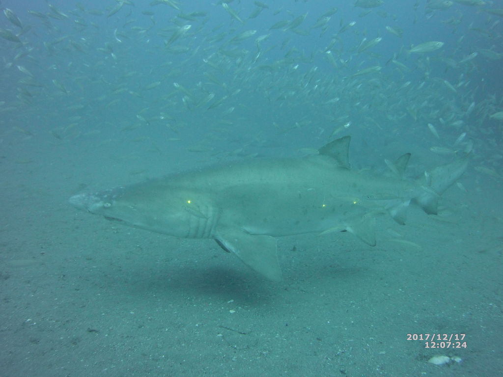 f03b7c86-efb2-4d8c-8686-670ffa99065e