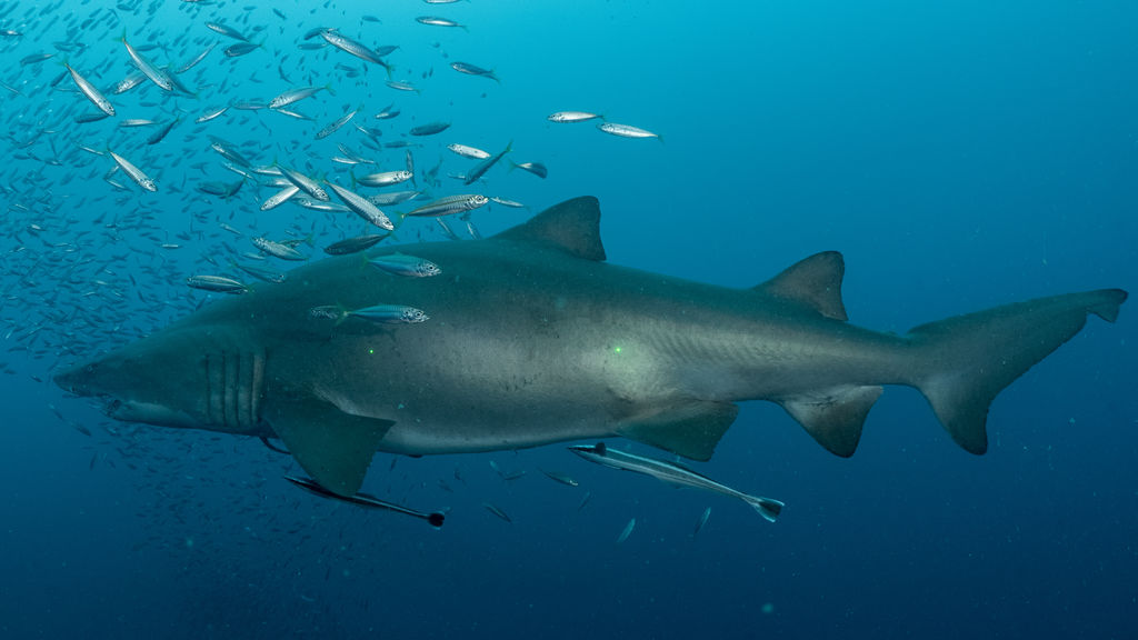 f3fbda0e-27e5-420b-8af8-e7adbac8c942